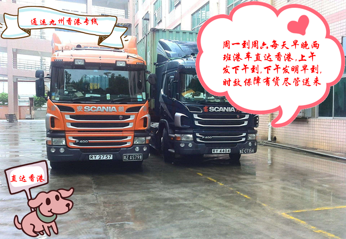 深圳到香港的物流公司，我們公司每天都是發(fā)2條柜直達(dá)香港，安全有保障
